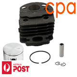 Cylinder Piston Kit 45mm for HUSQVARNA 51- 503 16 83 01